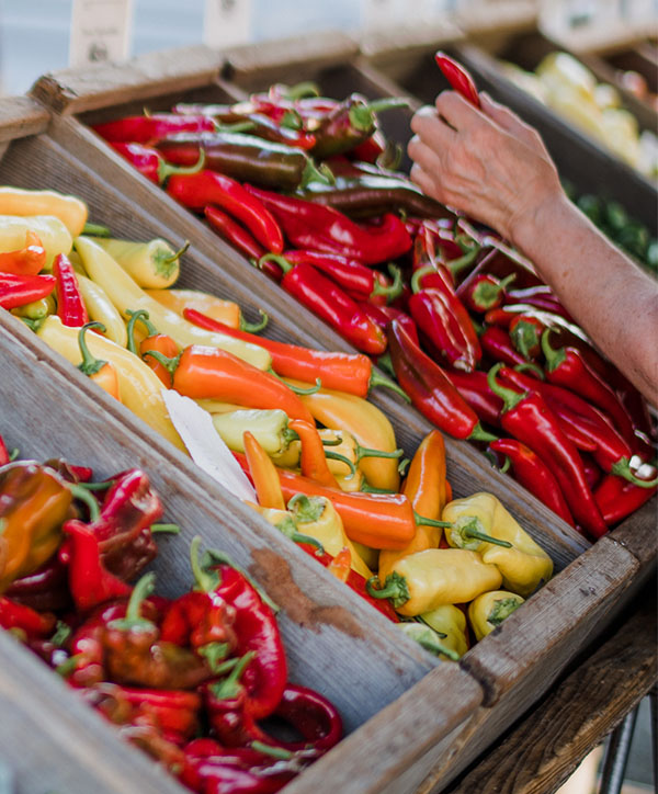aliments biologiques certifiés