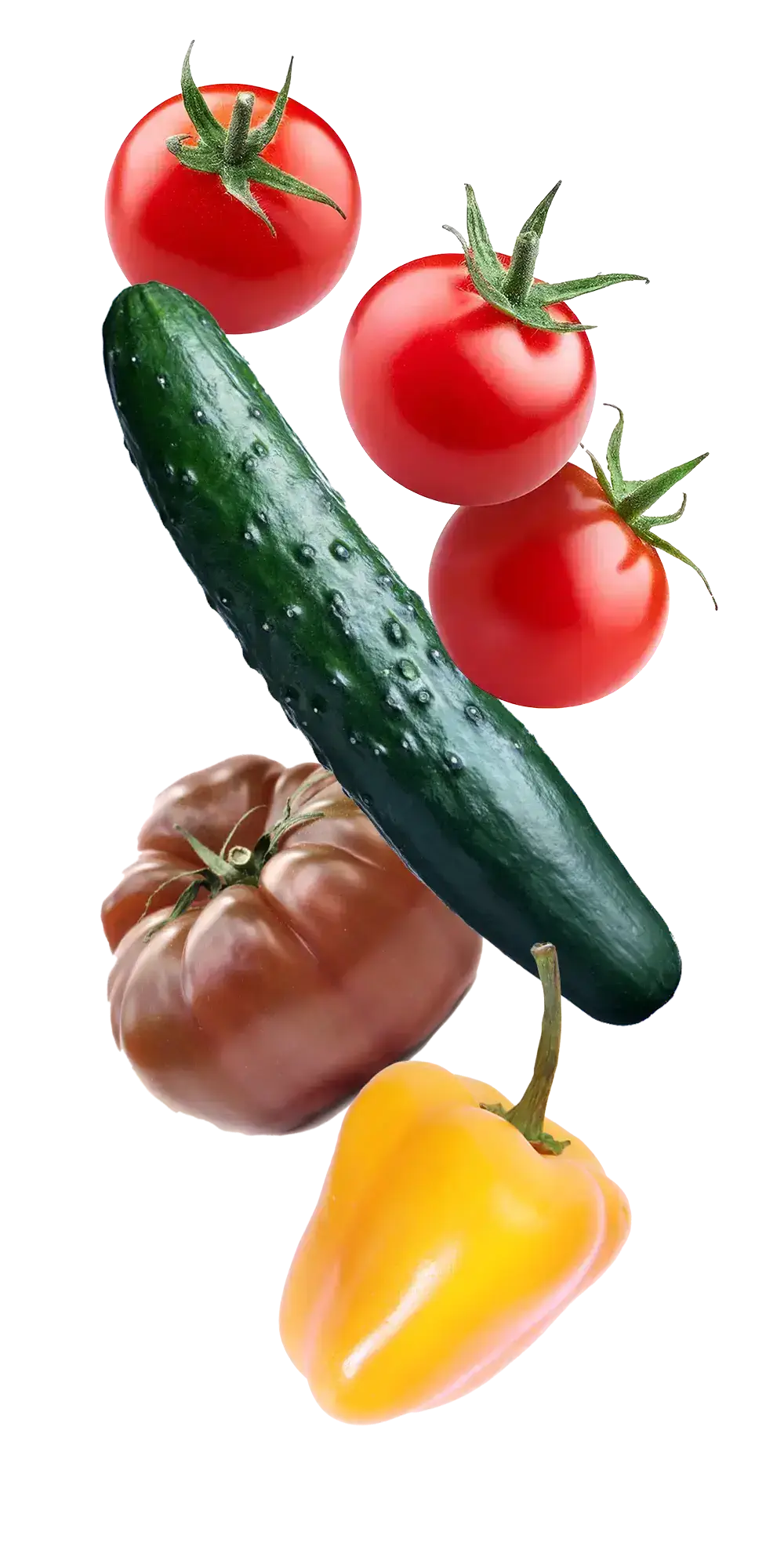 L'Abri végétal, légumes biologiques de serre - Coop Alenotur