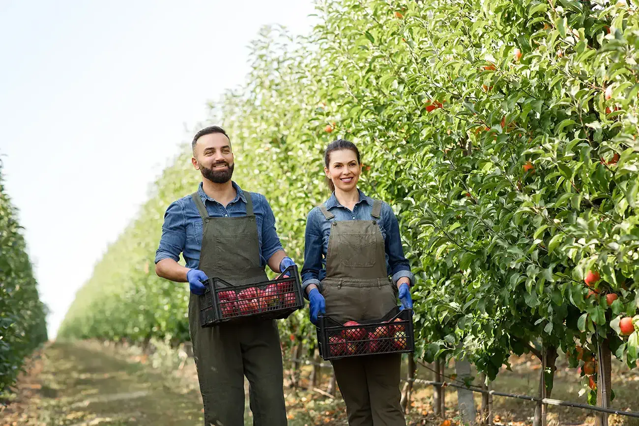 épicerie spécialisée d'aliments biologiques à Sherbrooke
