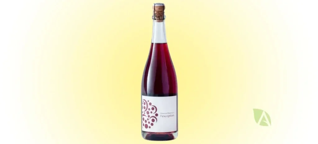 Bouteille de vin mousseux rouge l'Exception, du Domaine Bergeville