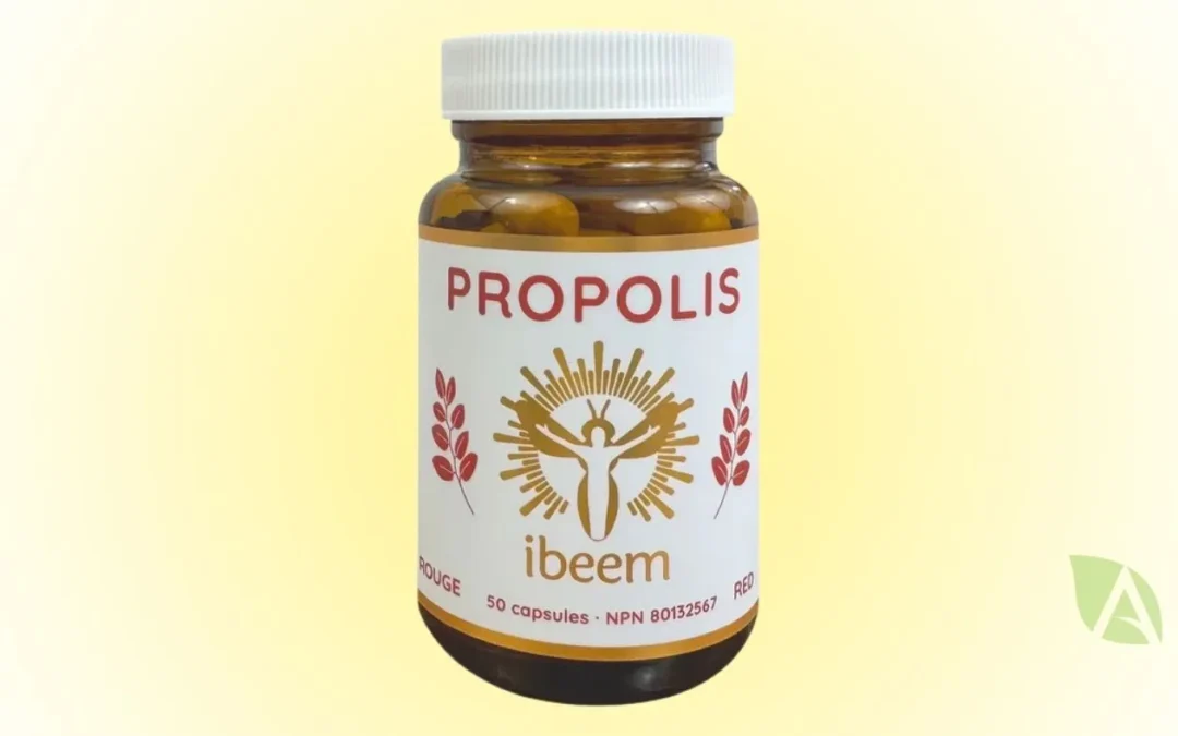Propolis rouge de Dalbergia Ecastaphyllum en capsule de IBEEM
