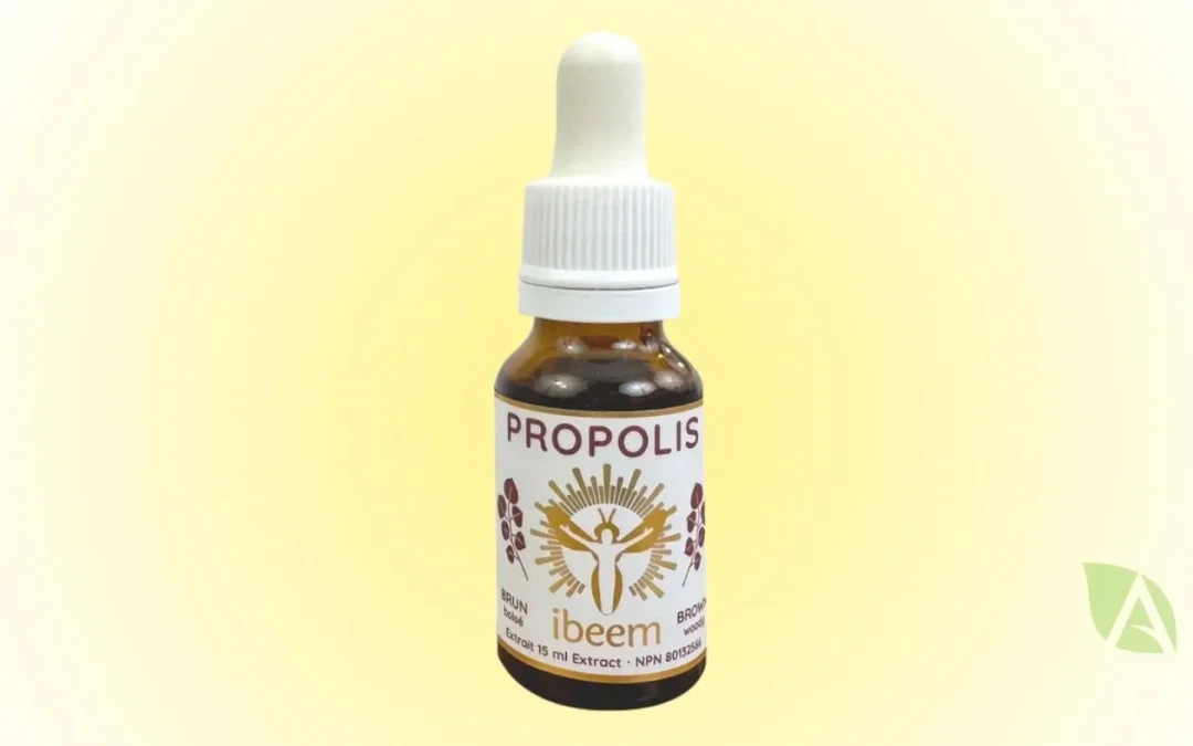 Teinture propolis brune de peuplier de IBEEM