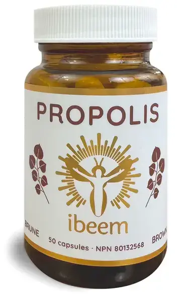 Propolis brune peuplier en capsule de IBEEM