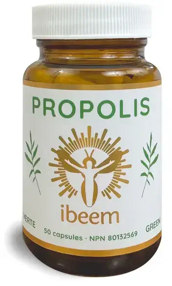 Propolis brune peuplier en capsule de IBEEM