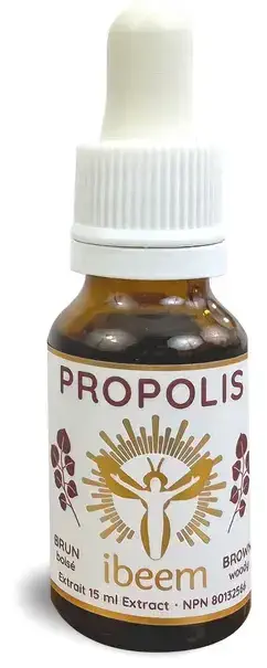 Teinture Propolis brune peuplier de IBEEM
