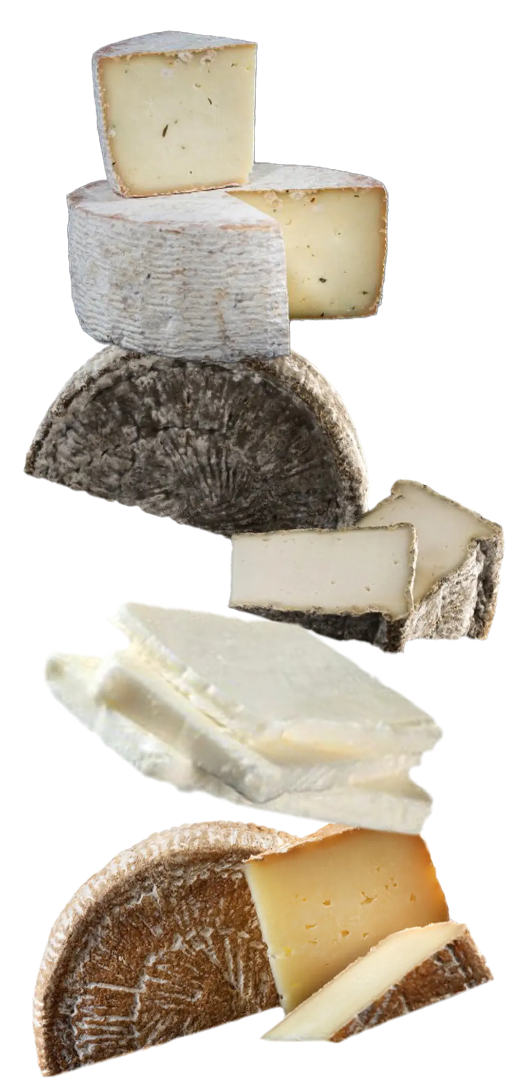 fromagerie les Broussailles - fromages bio au lait cru