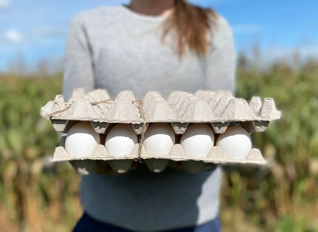 oeufs frais de la Ferme Bec-O à la Coop Alentour