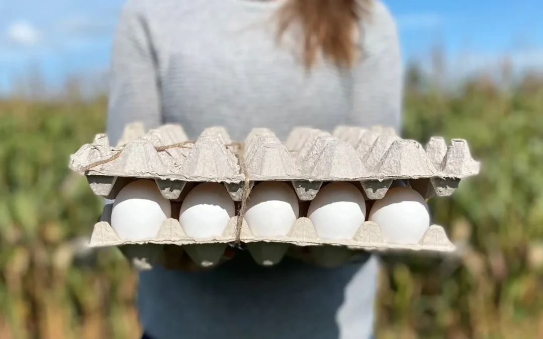 oeufs frais de la Ferme Bec-O à la Coop Alentour
