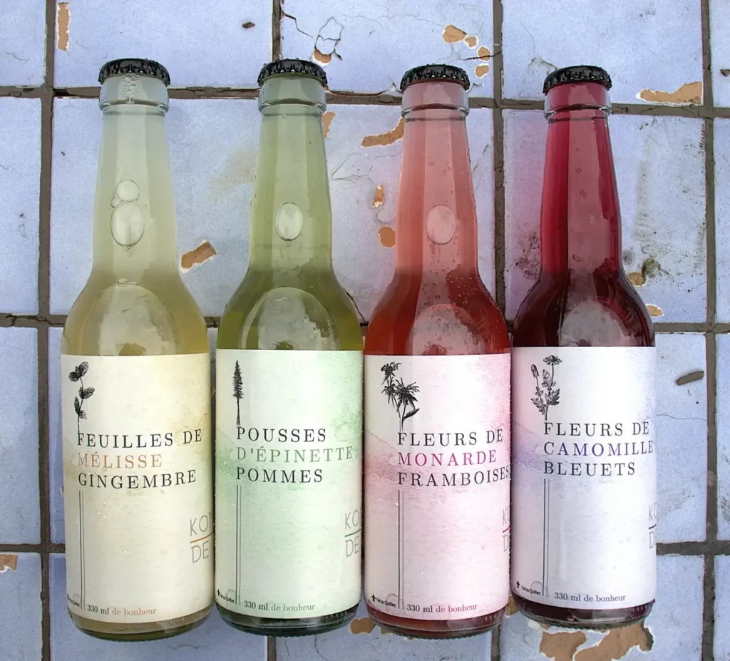 Aube Kombucha - Kombucha de Julie à la Coop Alentour de Sherbrooke