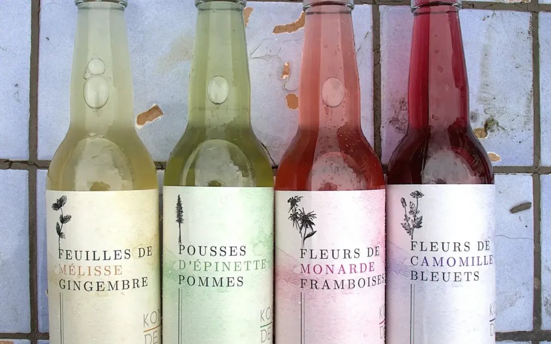 Aube Kombucha - Kombucha de Julie à la Coop Alentour de Sherbrooke